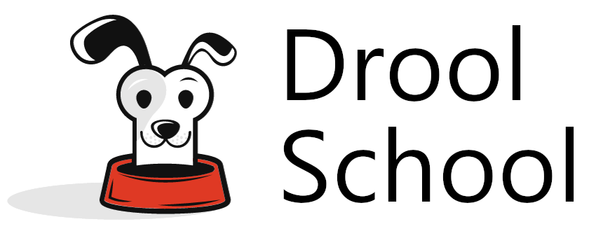 DroolSchool.com
